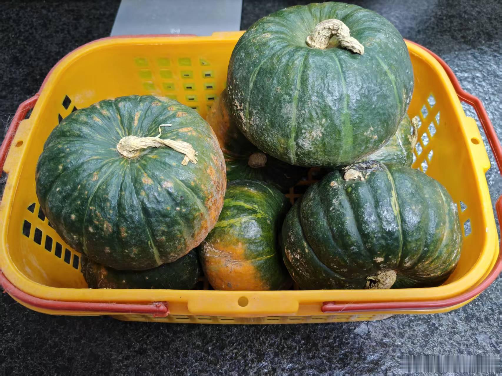 昨天从老妈家拿了一堆小南瓜，比江哥买的好吃多了。（毛哥）​​​