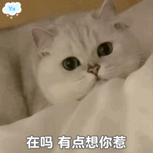 十二星座分手后最难戒掉的东西：感情回忆——双鱼、巨蟹前任的身体——天蝎、金牛一起
