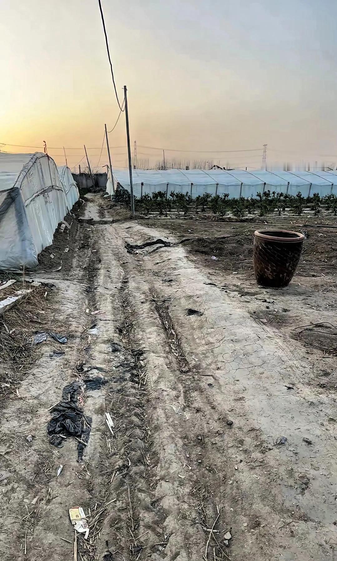 中国打印度，胜了，没有要一分土地；中国打越南，胜了，没有要一分土地；中国