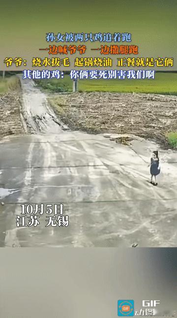 笑不活了！江苏无锡，国庆假期小孙女到爷爷家串门，小女孩一个人在院子中央玩着，爷爷