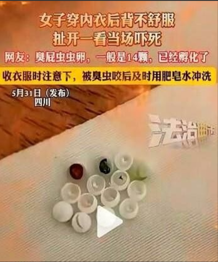 “太恶心了！”5月31日，四川，一女子起床穿内衣，结果，却总感觉扣不舒服，她将内