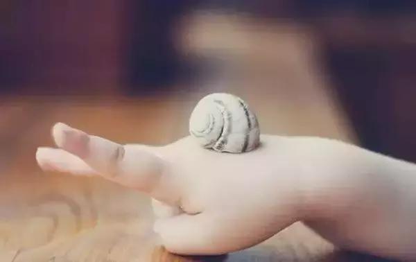 深圳冬令营: 当你忍不住对孩子发火, 静心阅读《牵一只蜗牛去散步》! 家长收藏