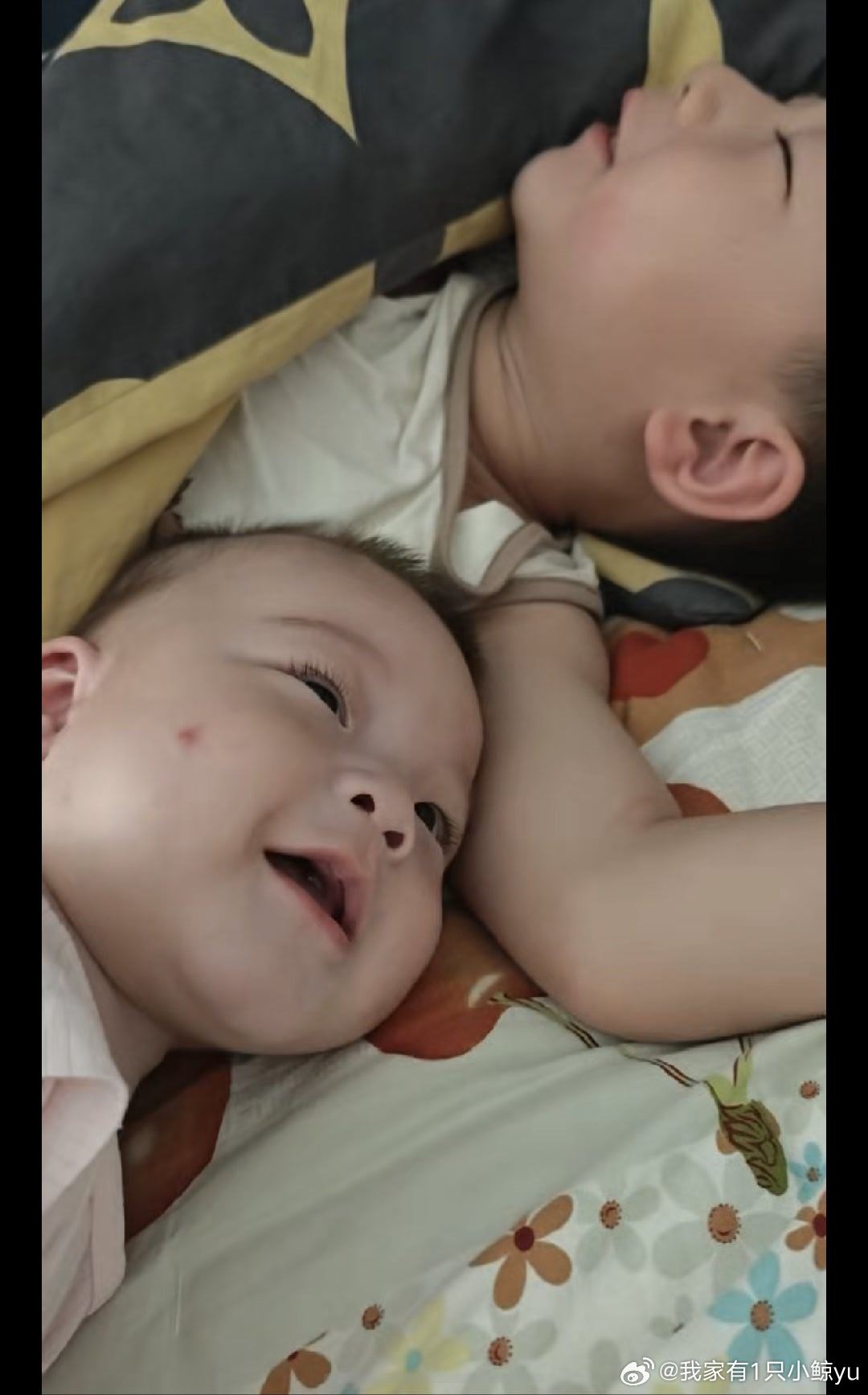 偶遇真的巴嘎车，后面还有老头乐保时捷长了牙的小孩，两个人一起午睡，总是先醒的那个喊醒另一个，太可爱了