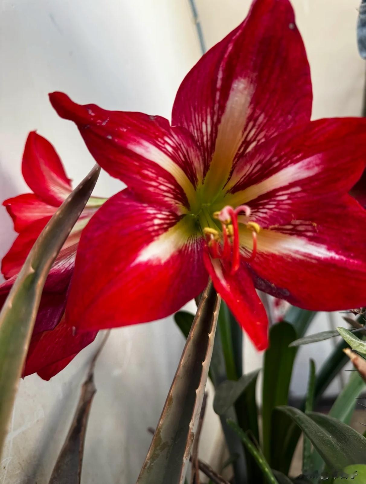 振宏股份申购结果什么时候出来？振宏股份的申购结果再过四五个小时就能见