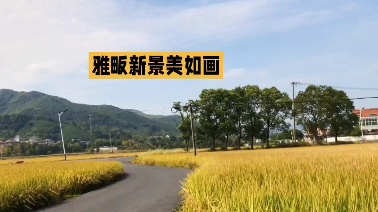 可太有意思啦！一边有老年活动中心连池艺术团的精彩演出，全体演员合唱《歌唱祖国》，