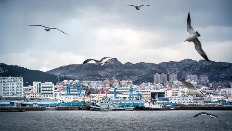 山东威海下了“倾盆大瓢雪”山东威海降下“倾盆大瓢雪”2026年1月，山东威海