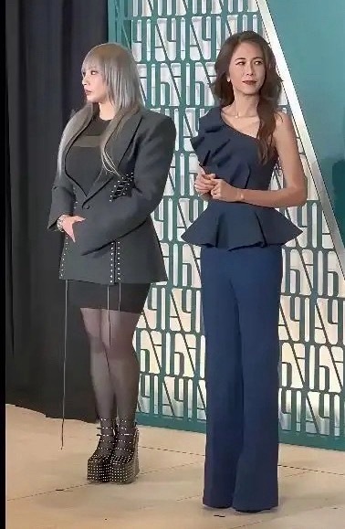都说一胖毁所有，我怎么觉得这个胖女人，比莫文蔚好看呢？