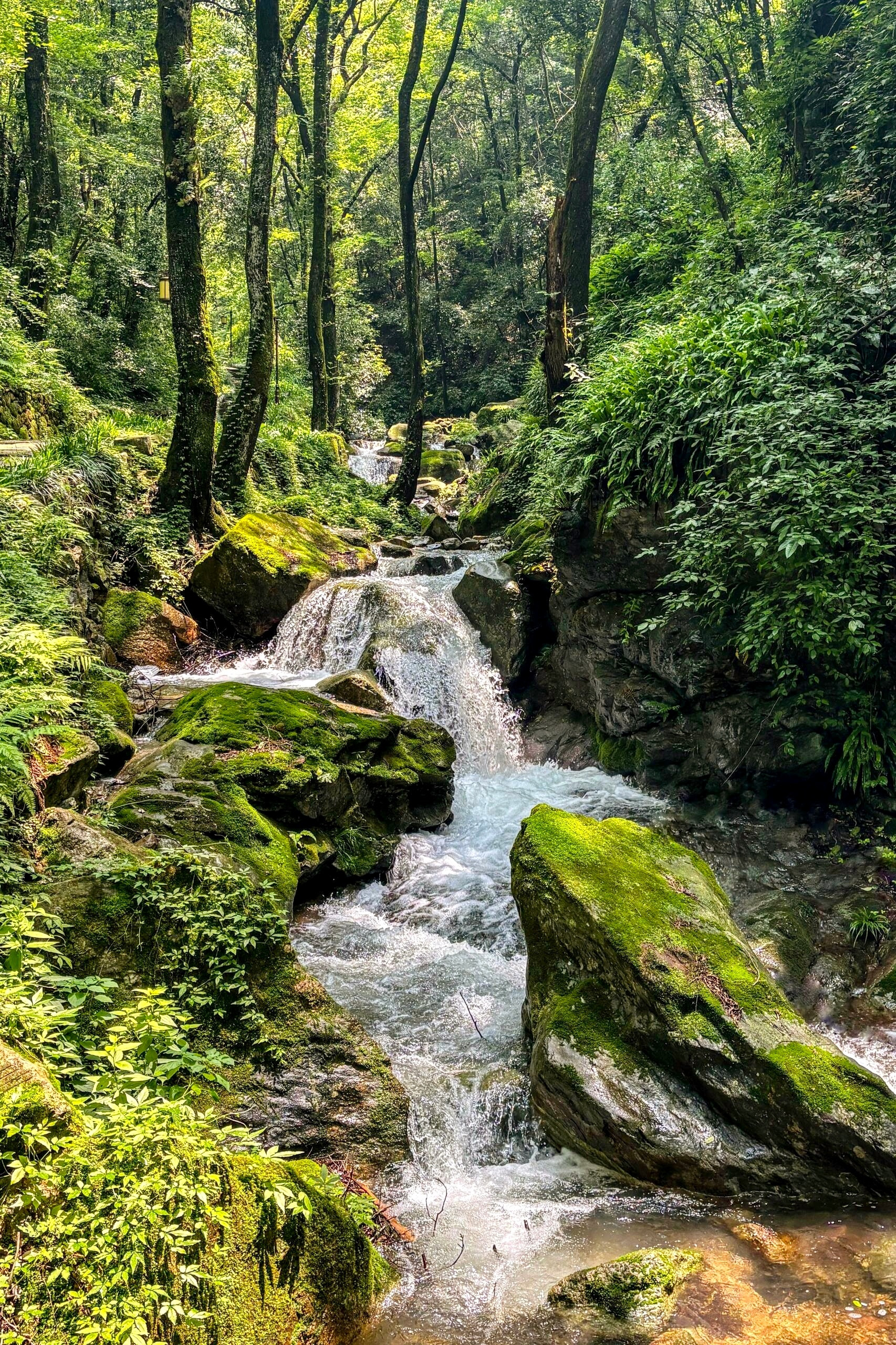 这么热的天，我为什么还要上班好想换上溯溪鞋，找一处清冽的山间小溪，踩着光滑席石逆