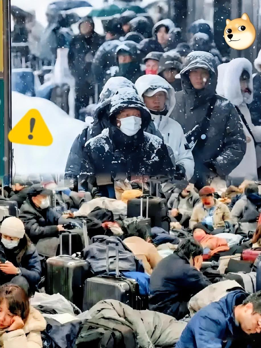 傻眼了，连飞机都飞不了！刚看到北海道滞留游客高喊“求包机”的视频，我这暴脾