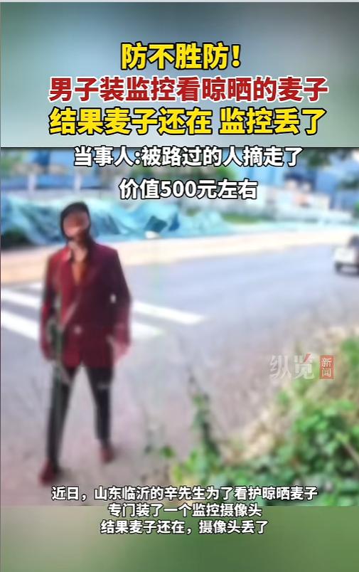 “真是个悲伤的故事！”6月16日报道，山东临沂，一男子家刚收了麦子，放在路边晾晒