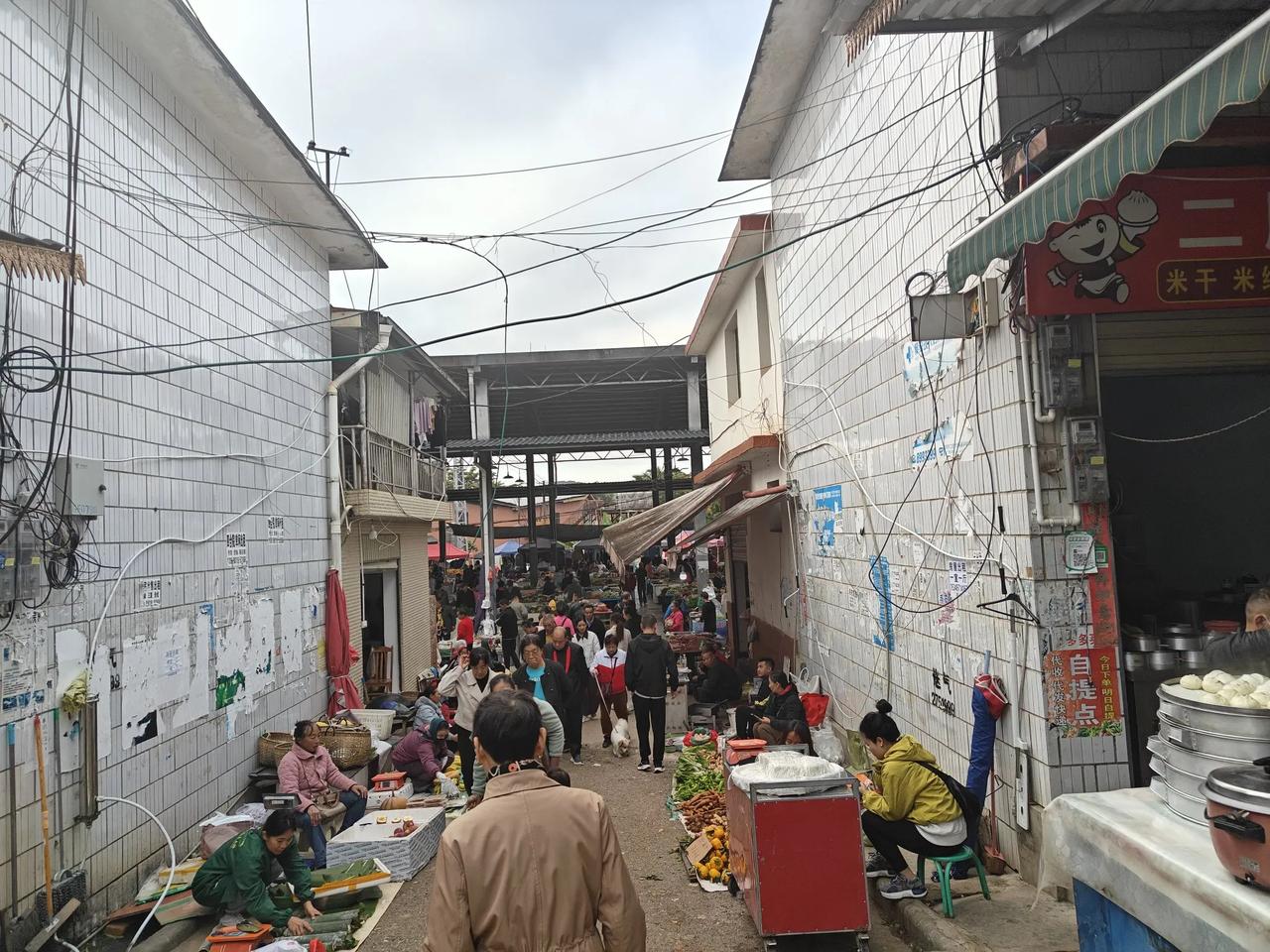 小区群里有人说，早上就在这个小市场，一位猫冬老太太买菜回来，走到8路公交站台附近