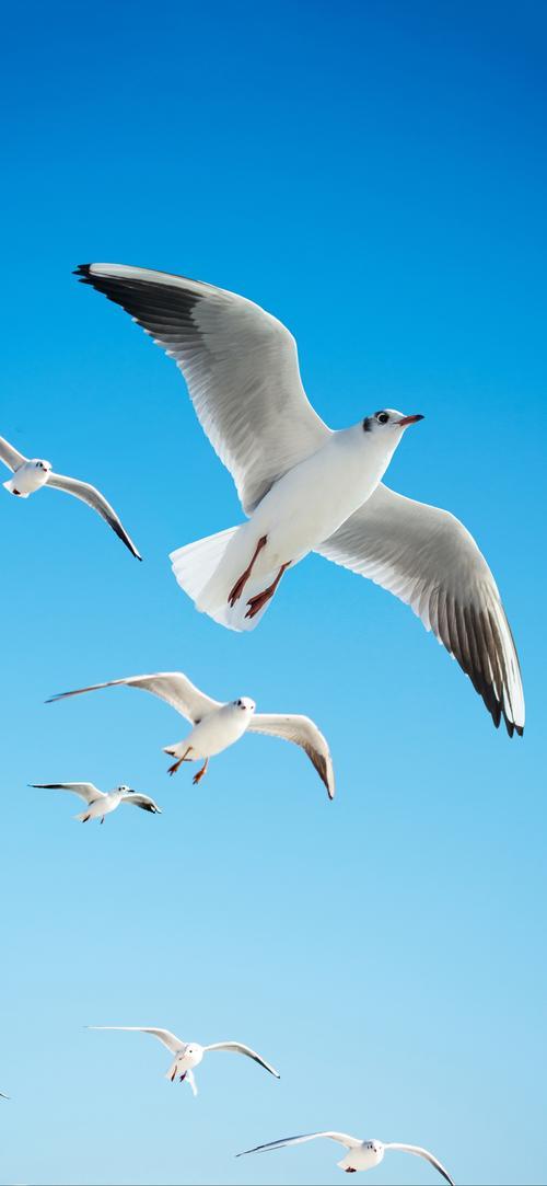 荷香迷静柳，邀您下联