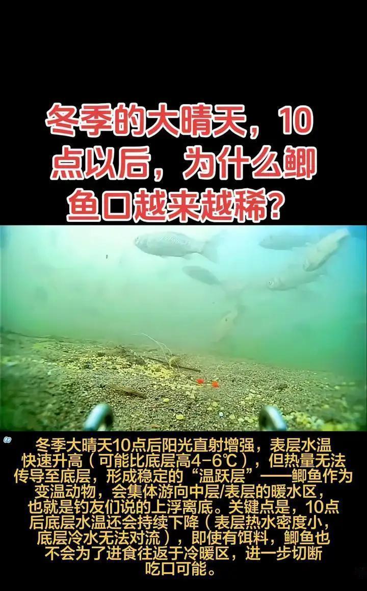 冬天晴天出去钓鱼，十点前还行，一到十点后，鲫鱼就没口了。你说怪不怪？问题就