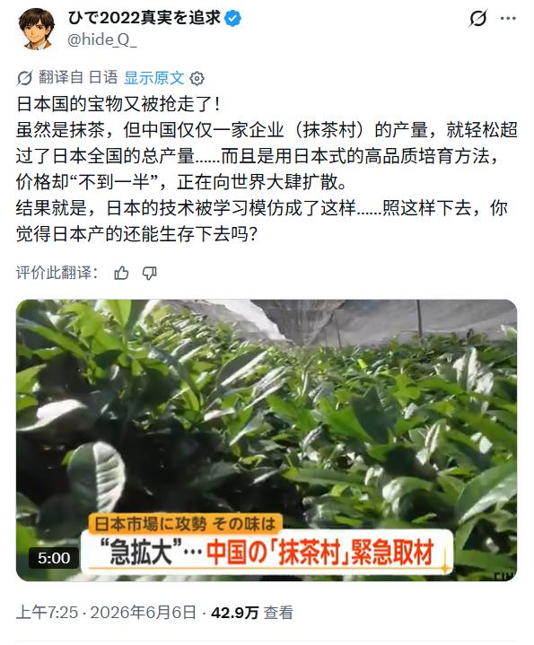 日本人竟然认为抹茶是日本的！好歹也查一下：日式茶道2013年申遗，只是改