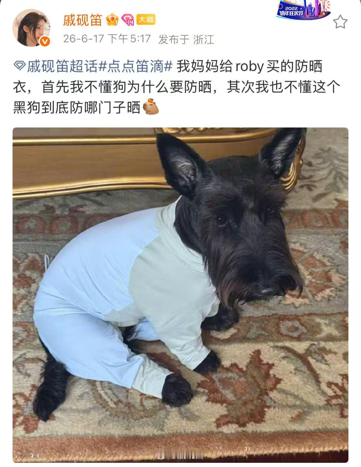 戚砚笛妈妈给黑狗买了防晒衣今日份笑料来了分享妈妈给小狗买的防晒衣，疑惑不解🤔