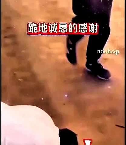 外网都传疯了！加沙人民跪地拜谢！刷到TikTok上那些加沙小孩举着五星红