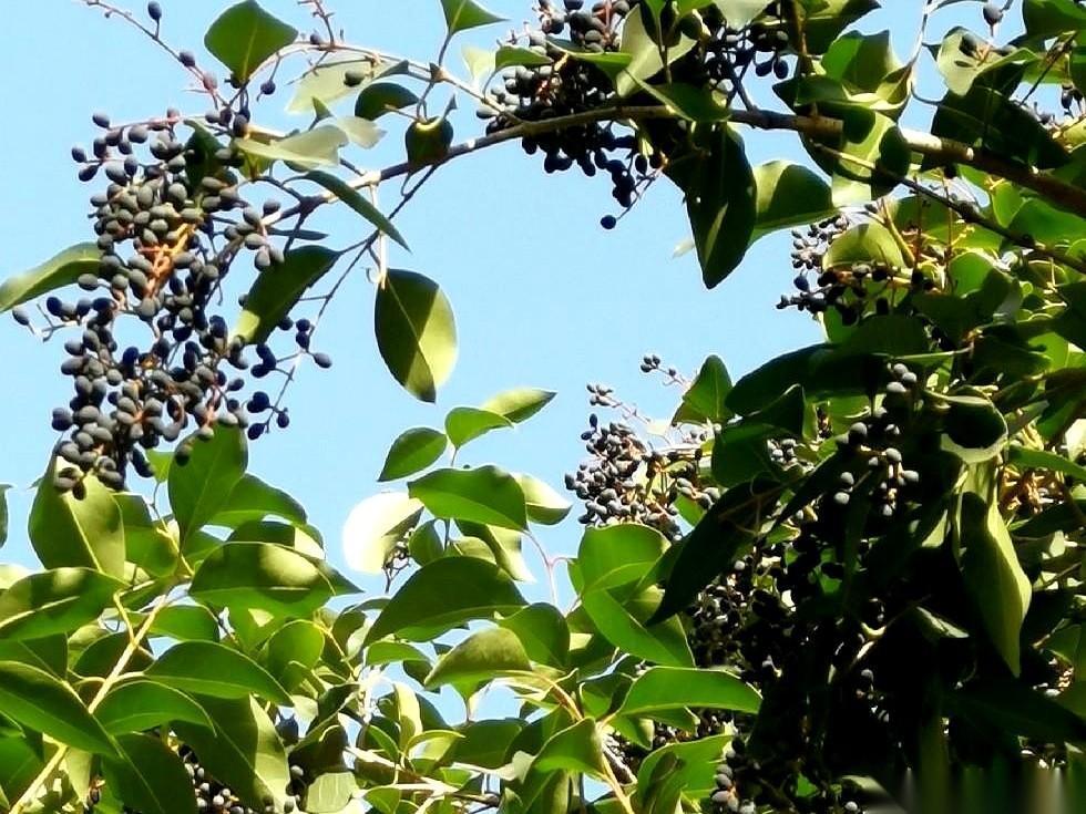 这辈子，当婆婆的，其实是输给了两个人。这话说得扎心，但也实在。很多当婆婆的，尤