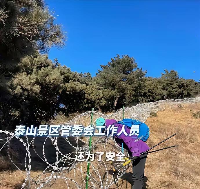 百余公里刀片刺网环绕泰山，远远看去，整座名山仿佛被套上了坚硬冰冷的铁圈，不少