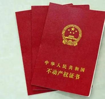 浙江70岁老人，立遗嘱要把三套房子全部留给儿子。遗嘱只是草稿还没有成文，结果被儿