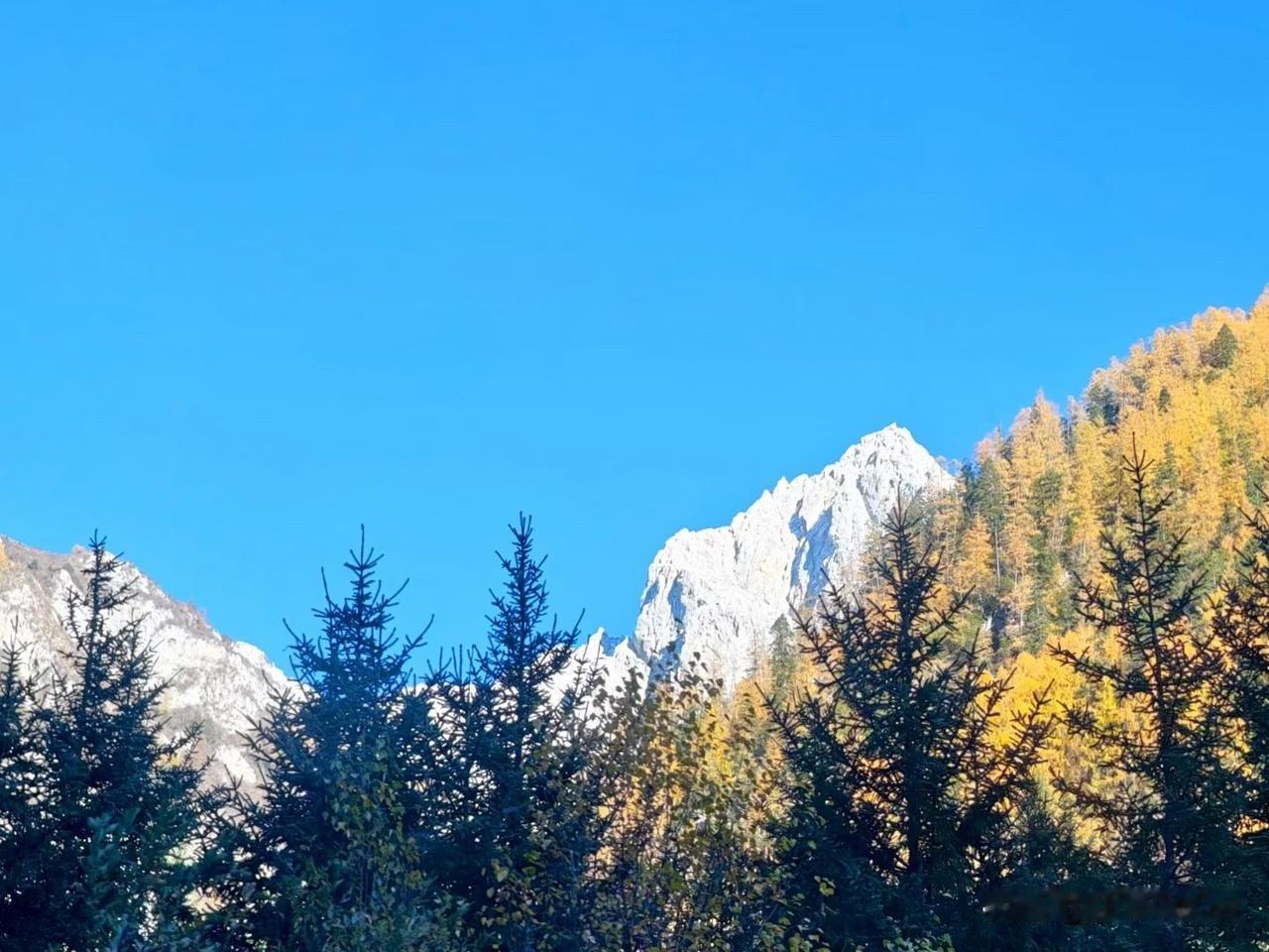 周六武汉地铁客流量竟达395万人次之多[呲牙笑][呲牙笑][呲牙笑]爆料身边事周