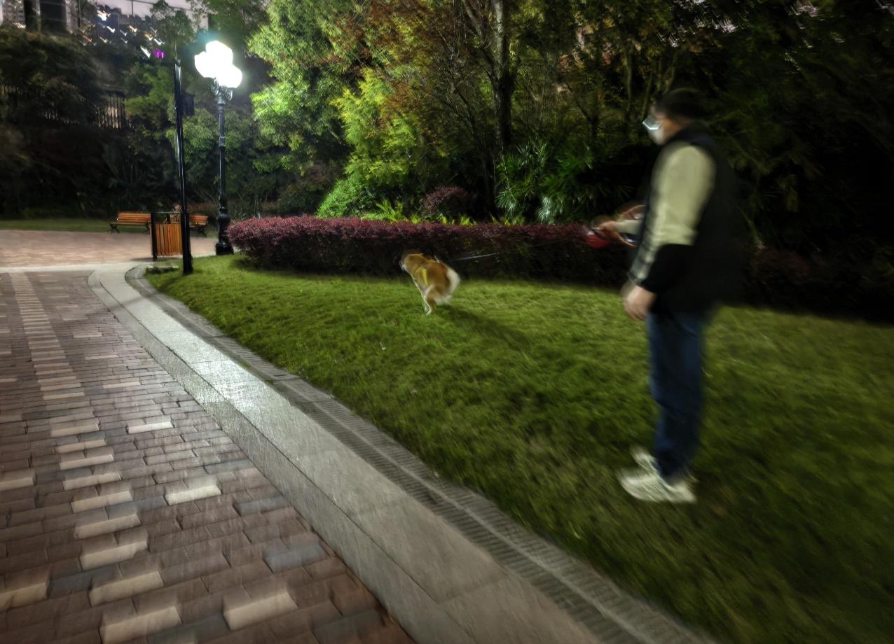 养狗人的心酸谁懂啊！这大半夜的，狗狗内急的不行，开始老公还没有读懂它的意思，