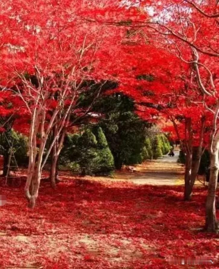 老人理财新契机来了！现在老人存款利率过低，不划算！该怎么办呢？据媒体报道，北京