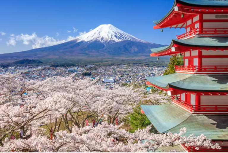 昨晚，和一位在日本的朋友聊天，他透露了两个实情，情况真的挺严峻了！第一个是，