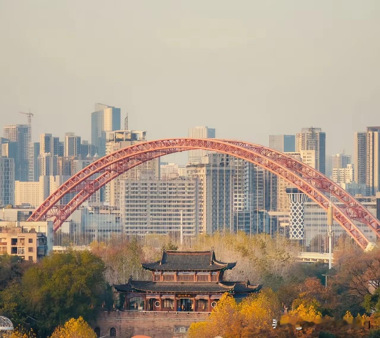 我开始有点理解武汉科技大学了十年冷板凳，换一场医学静默革命最近让国际医学界