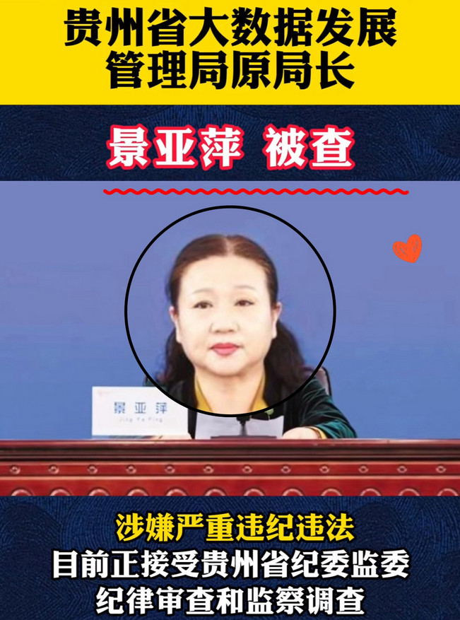 刚看到一则让人震惊的反腐新闻：贵州省大数据发展管理局原局长，竟然私自利用政府服务