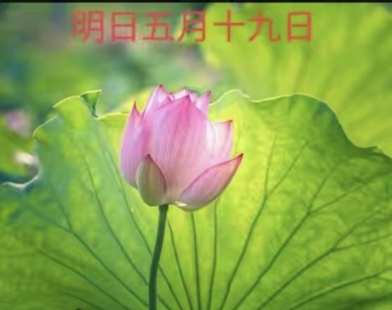 不是迷信！明日五月十九是"危日"，忠告：无论多忙，4件事别乱做明天就是农历