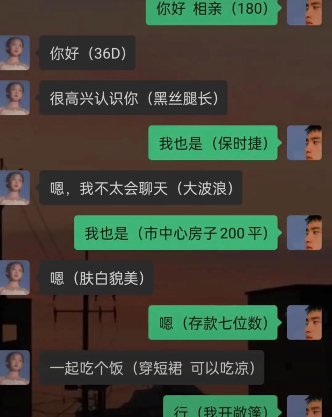 现在的相亲聊天已经进化出新版本了，表面客客气气打招呼，括号里面才是真正的硬性条件