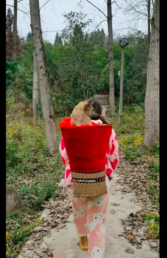 【在村里的狗狗生病后，主人背着它走了5公里去看病，它是家人啊！】有这么一位网友，