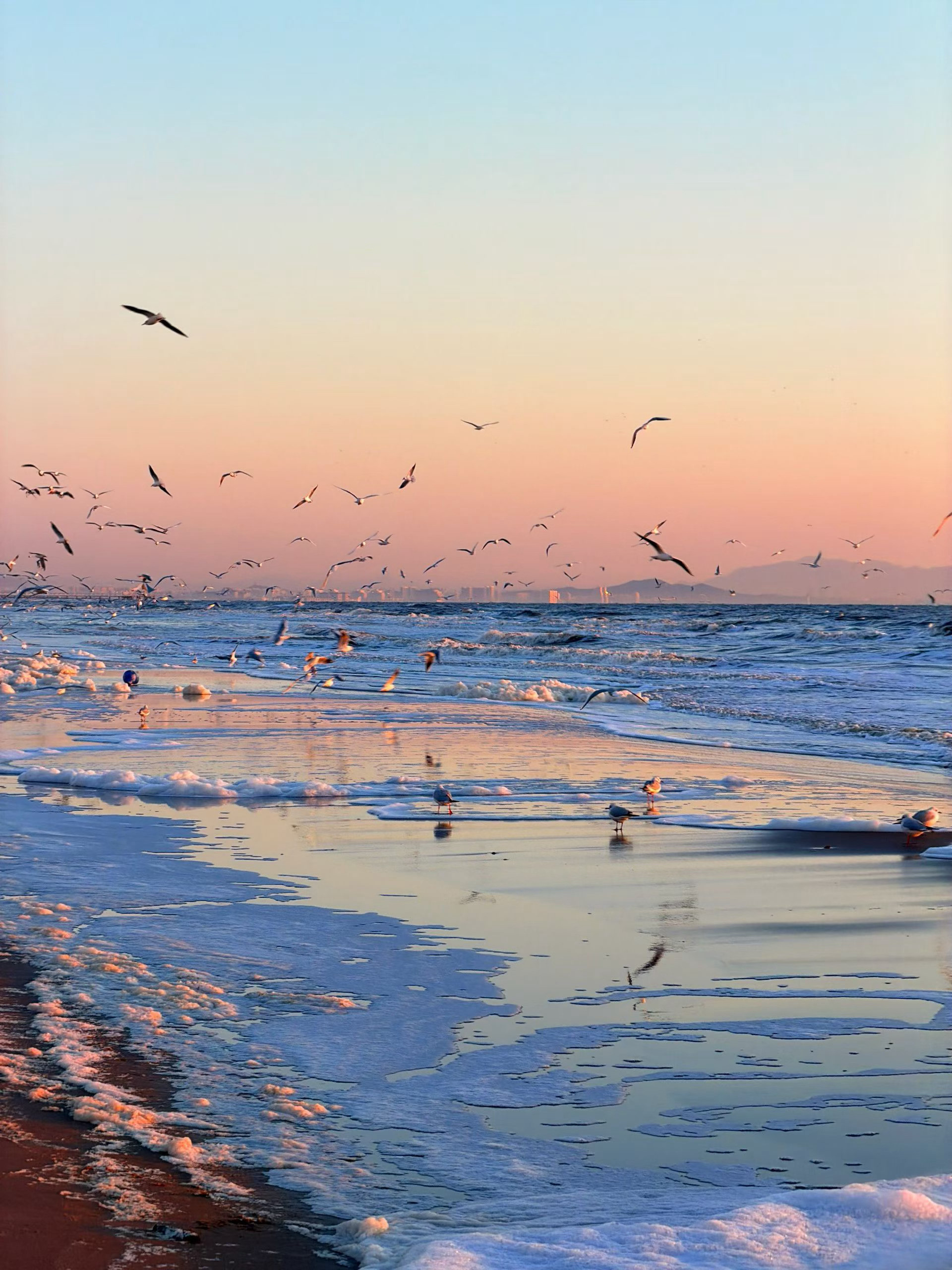 晒出我的年度兴趣还有什么比看到日出更让人幸福的事情么