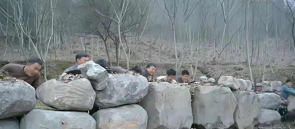 导演开始把观众当傻子了