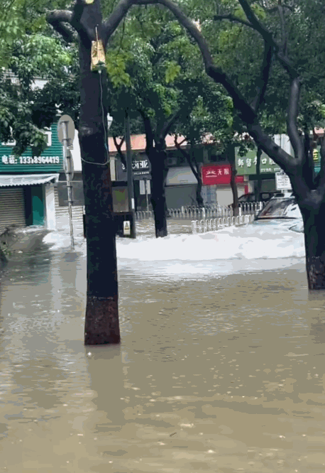 【风灾后驾车造浪冲破商铺玻璃及大门车主被行政拘留】9月24日，超强台风“桦加