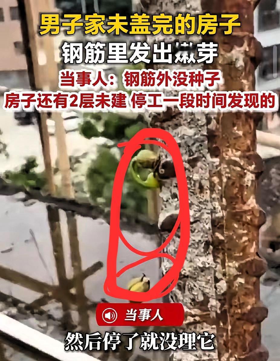 万万没想到！广东揭阳，男子家自建6层房子，有两层未建。突然，他上楼顶发现裸露的钢