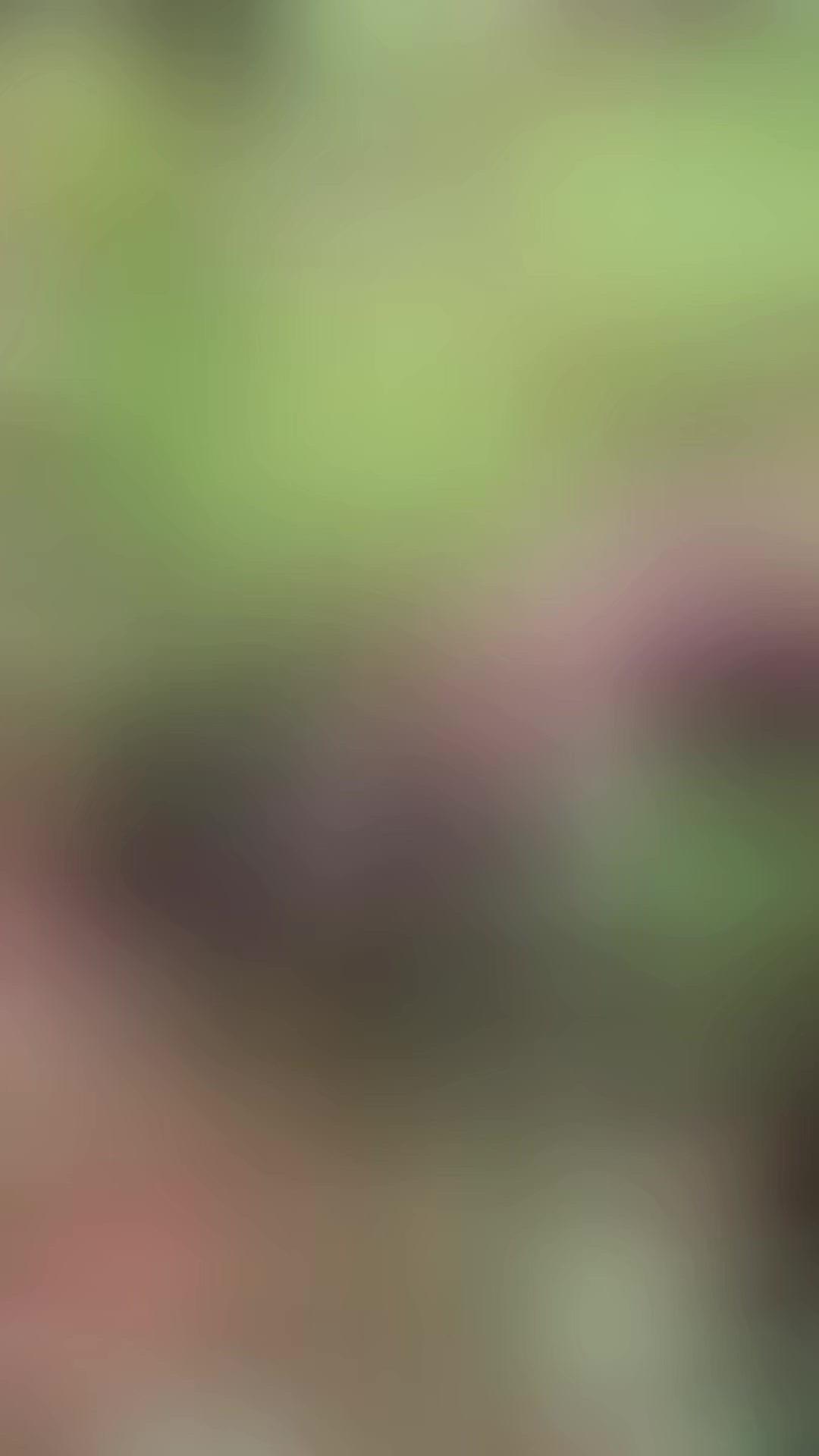 养殖伙伴必看！脱霉剂怎么用才对？🦠霉菌毒素真的是养殖里的隐形坑——动物长得慢、