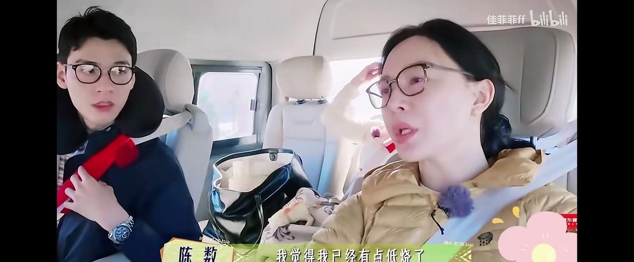 《花儿与少年》中，陈数看起来很虚弱的样子，她常年保持身材，还练瑜伽，但是她的精气