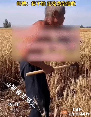 “老大爷遇到好人了”！收割机师傅收麦时，路过时遇到一位大爷，正在独自割小麦，晒得