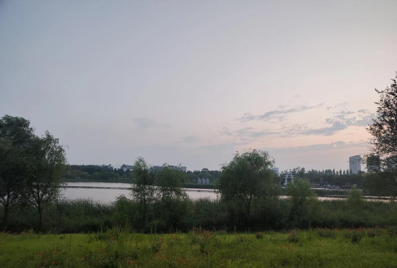 暑假期间，老师也没闲着，各种线上线下培训又开始了。按道理来说，老师不上课放假了