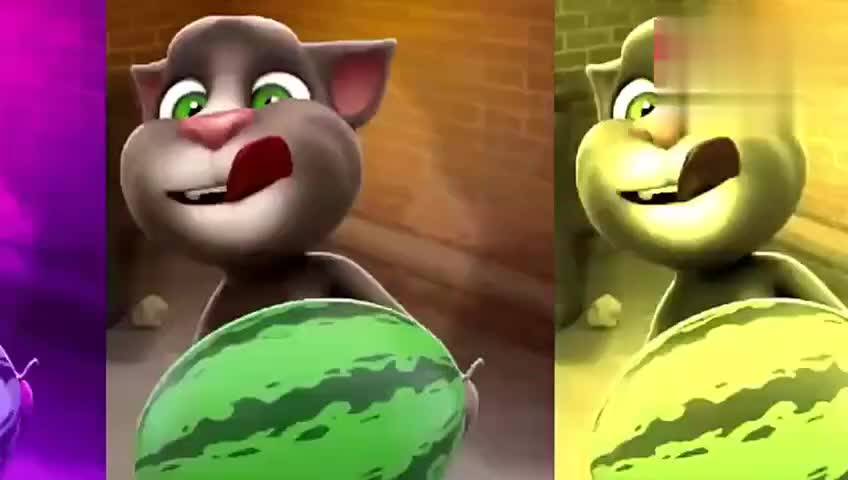 8492358303160705723.jpg?id=0