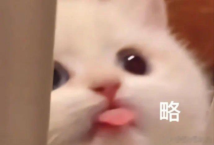 十二星座被误解最多的事：白羊：不是脾气差，只是不藏着金牛：不是抠，是怕没钱保护不