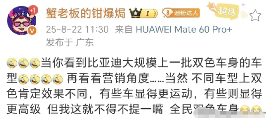 比亚迪下面会出很多双拼色车漆的外观色。这个看之前申报就知道了。N9就申报了。