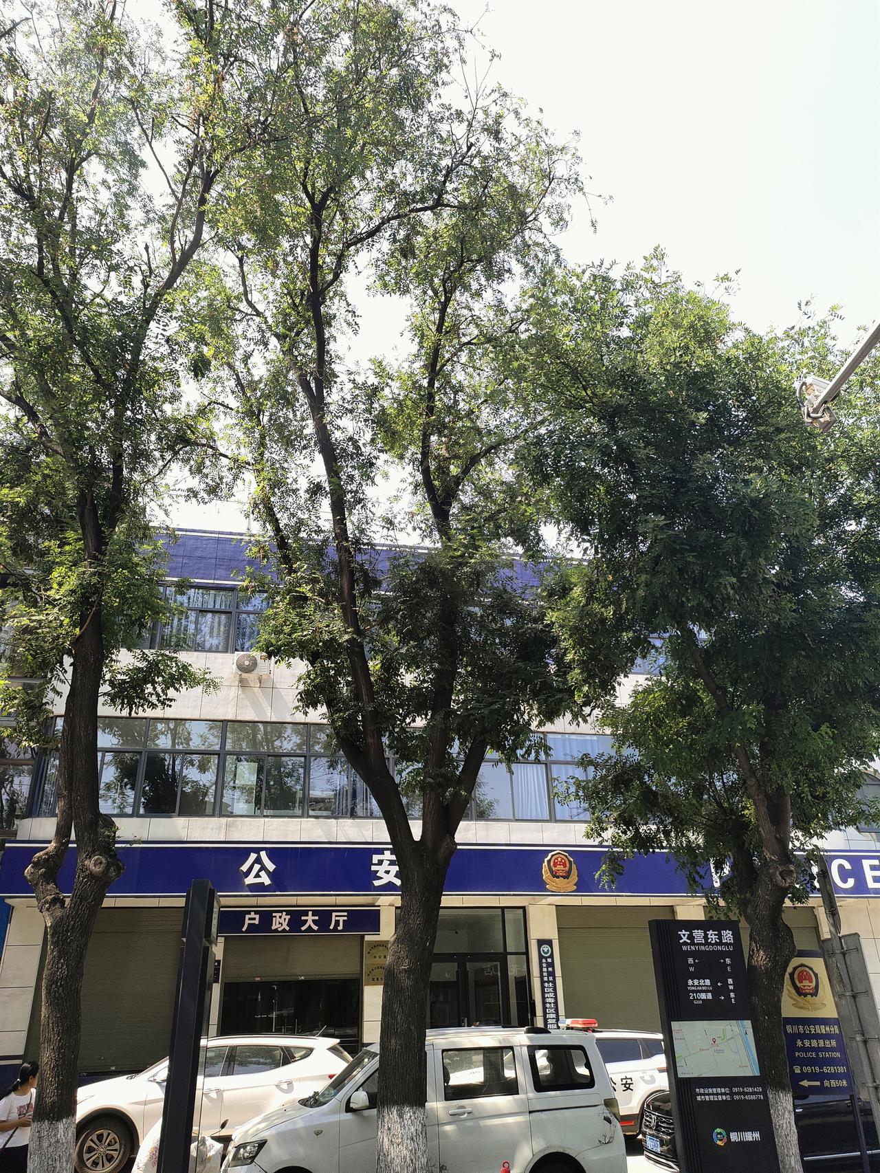 只要心态好，人生处处是风景，知足常乐，幸福时时相伴人活到一定岁数就会彻底明