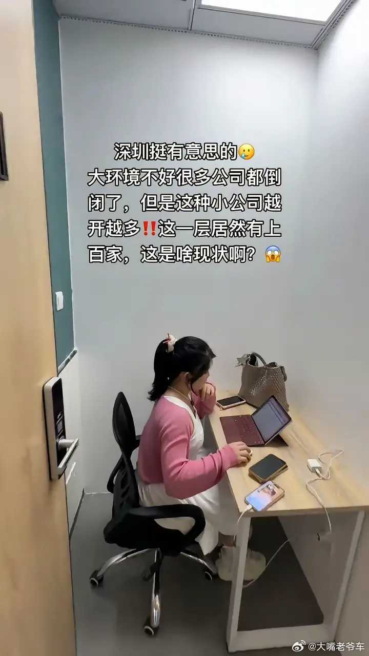 职场深圳已经快速进化到“遍地公司，全民老板”时代[赞][赞][赞]​​