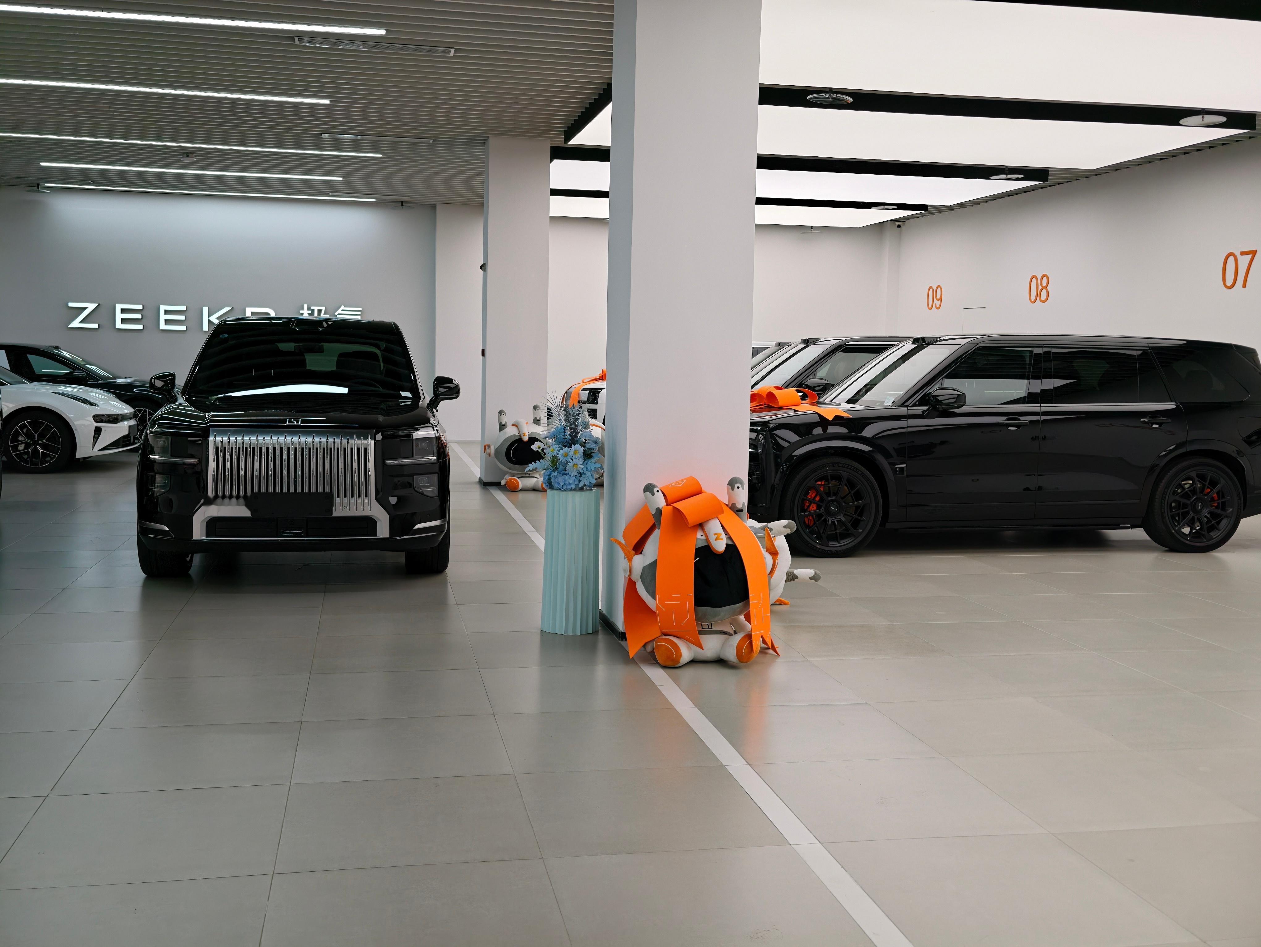 极氪的9x卖的真好满屋子全是