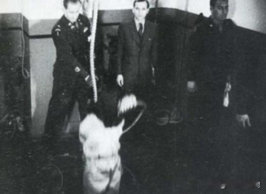 绞刑为何是最可怕的刑罚？东条在绞架上整整挣扎了12分30秒，咽气时他被折磨得涕泗