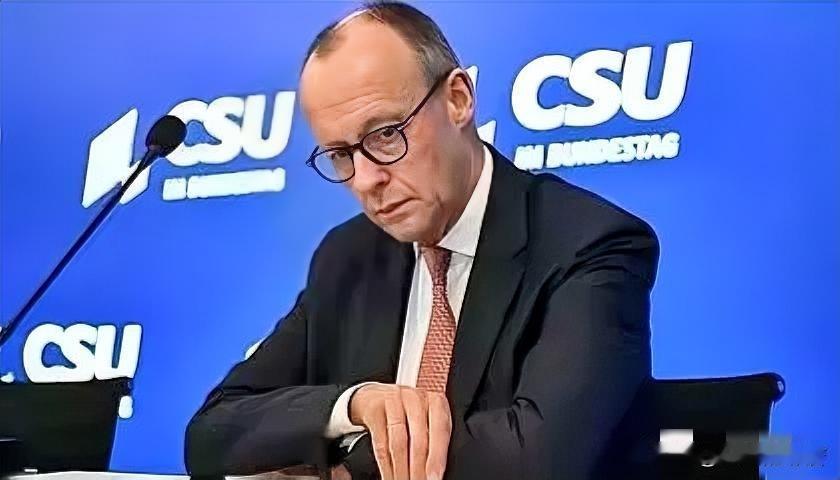 德国该不该为乌克兰继续砸钱？魏德尔说，“我们已经投了七百亿欧元”，还送去大批武