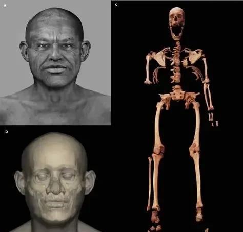 顶刊nature最新论文，古埃及贵族是黑人，阿拉伯人也是黑人近日，顶刊natu