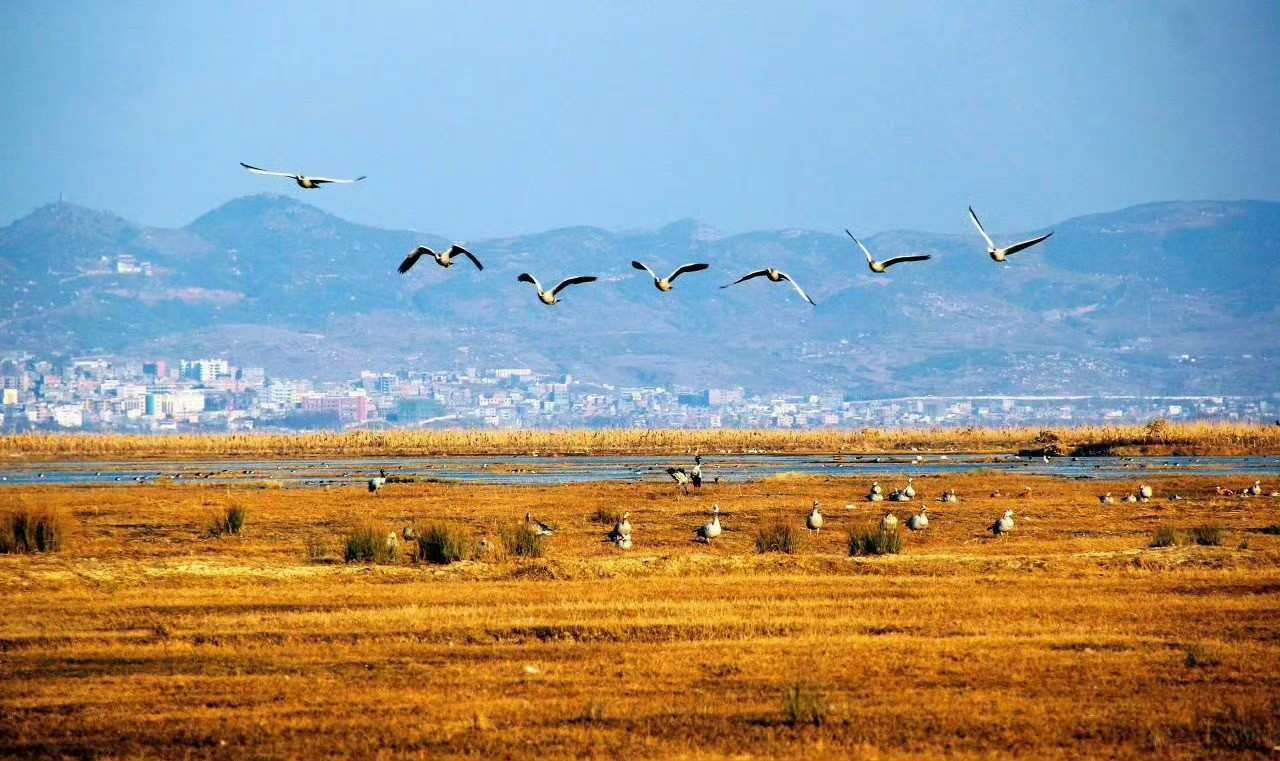 贵州·威宁草海｜这里素有“高原明珠”之称是贵州最大的天然淡水湖，